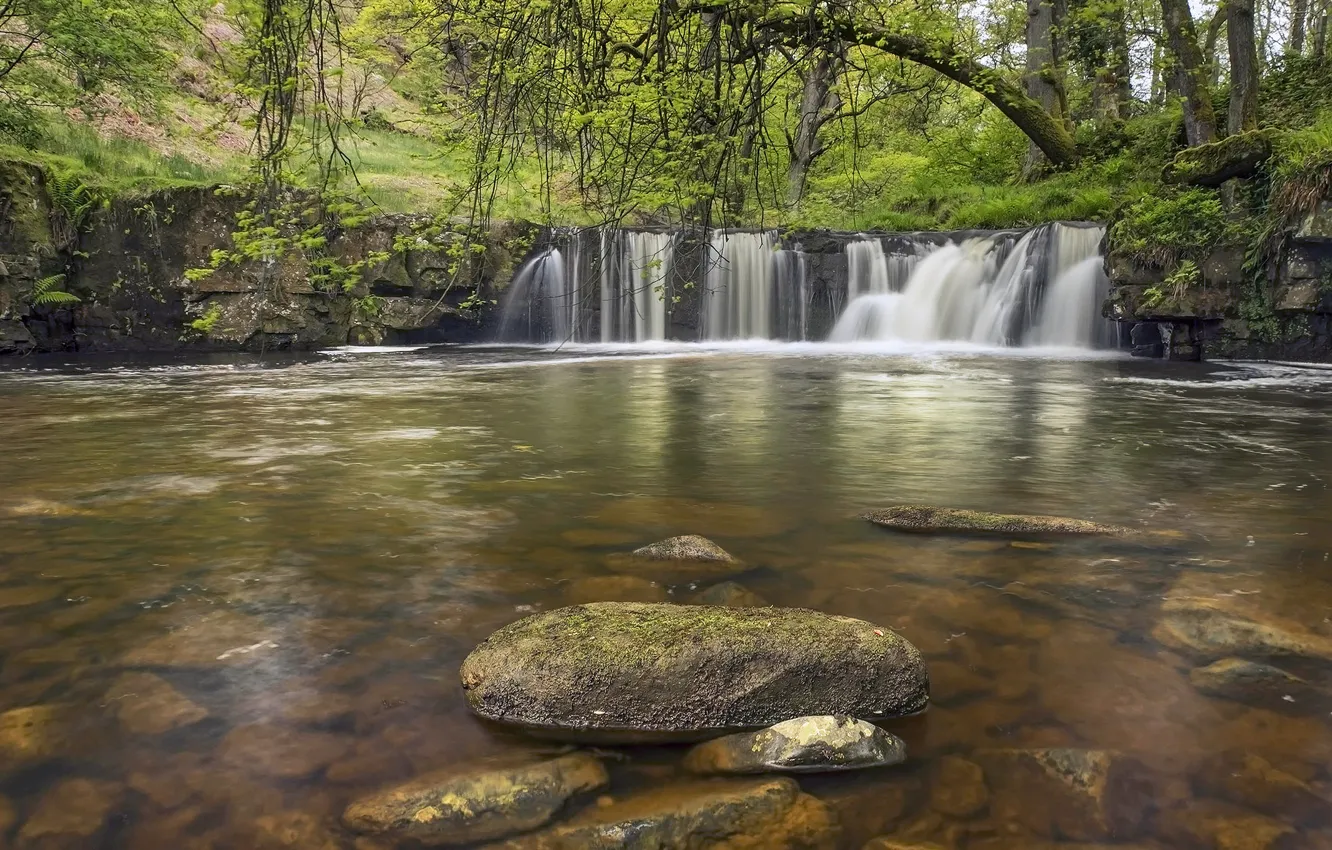 Фото обои лес, река, камни, Англия, водопад, England, North York Moors, Walker Mill Foss
