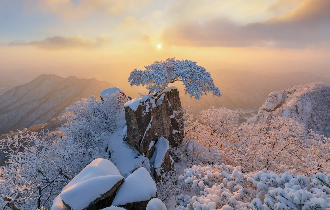 Фото обои Зима, Дерево, Горы, Снег