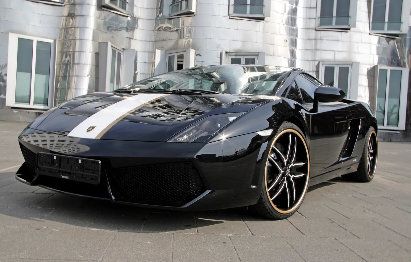 Фото обои чёрный, Гайардо, Lamborghini Gallardo, золотая полоса