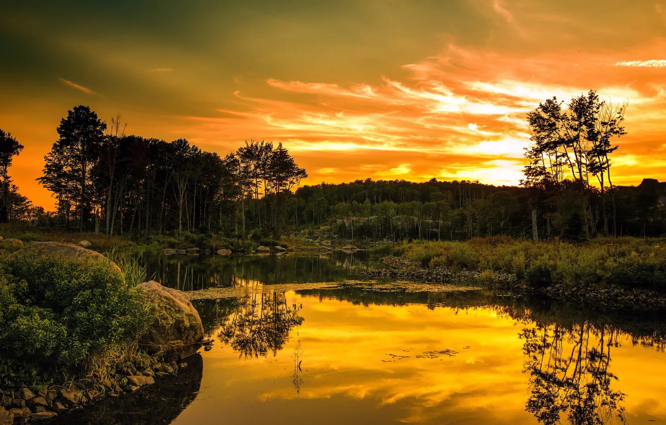 Фото обои лес, пейзаж, закат, река