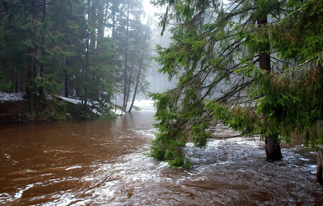 Фото обои лес, снег, деревья, река, поток, весна, разлив