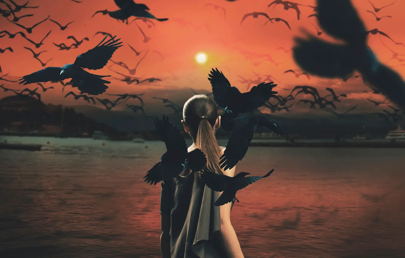 Фото обои девушка, солнце, птицы, вороны, mythology series