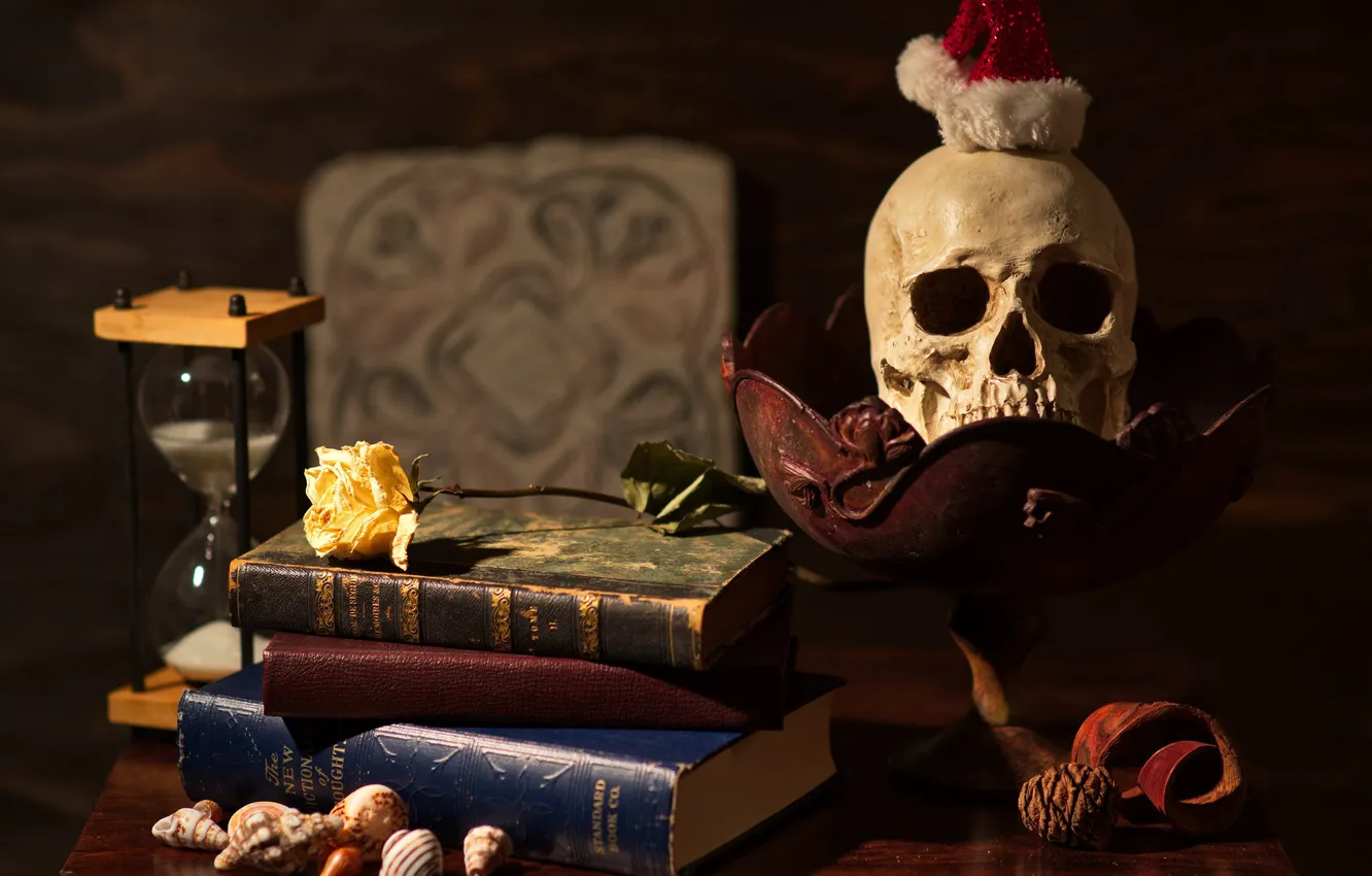 Фото обои цветок, стиль, темный фон, стол, роза, книги, череп, ракушки