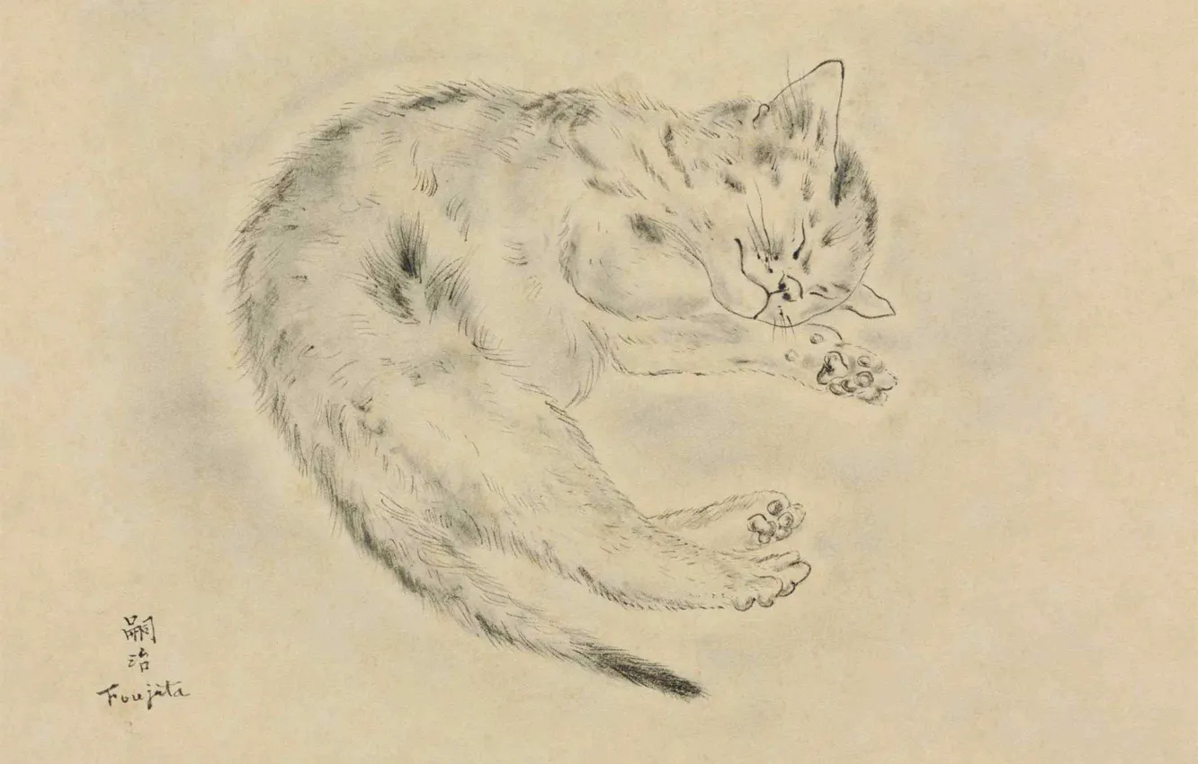 Фото обои бумага, 1928, Tsuguharu Foujita, перо и чернила, Спящая кошка, размывка серым