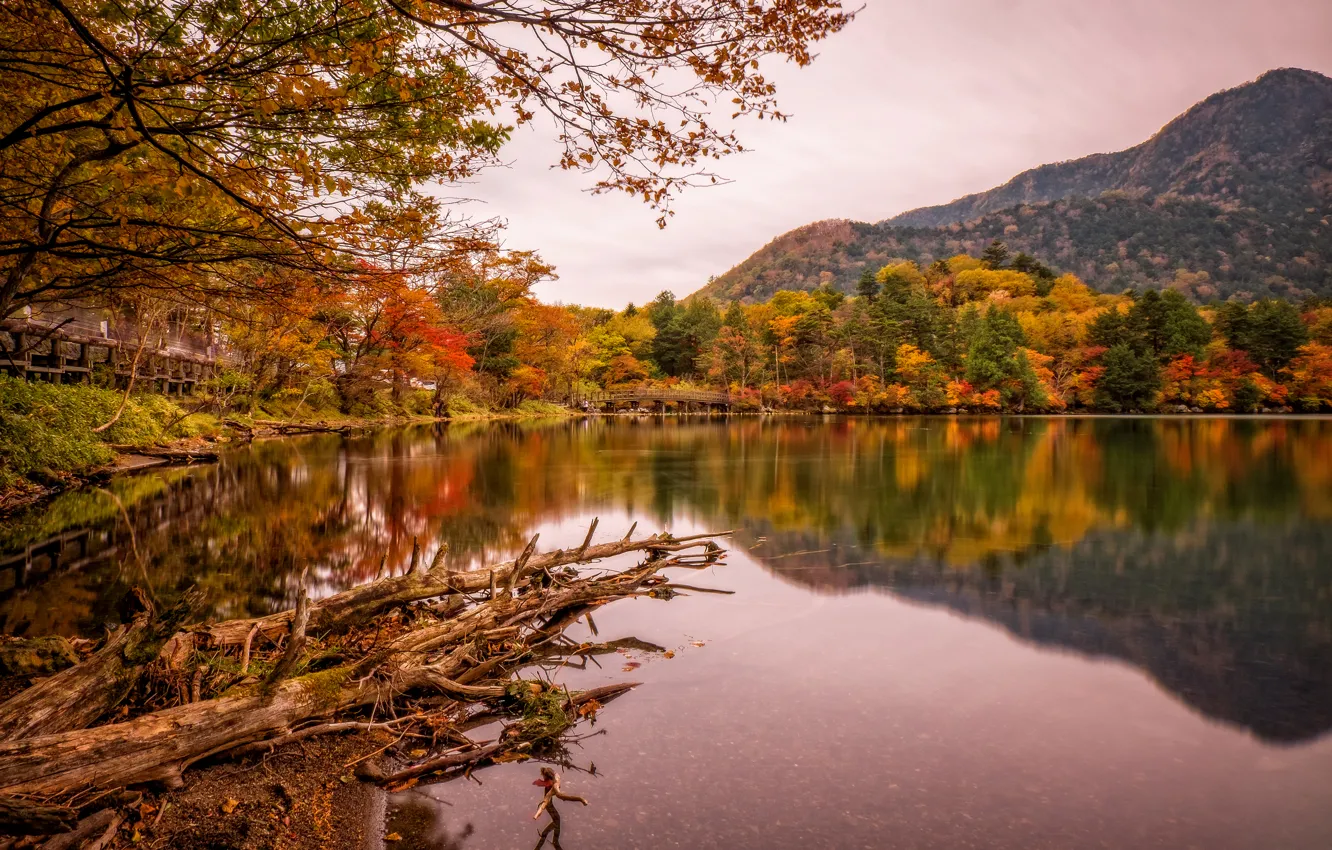 Фото обои осень, деревья, горы, мост, озеро, парк, Япония, Nikko