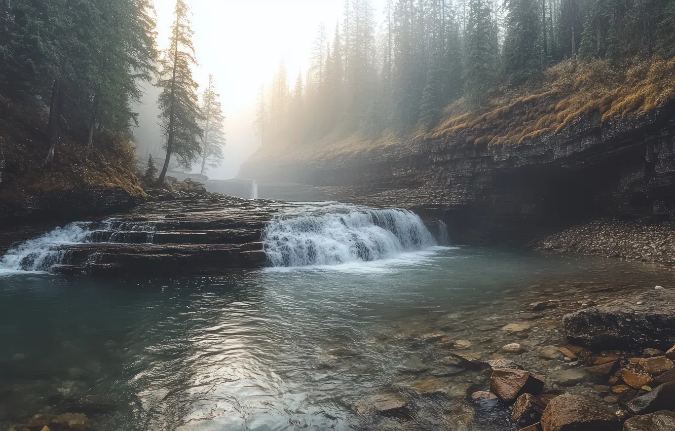 Фото обои лес, свет, деревья, туман, камни, скалы, берег, водопад