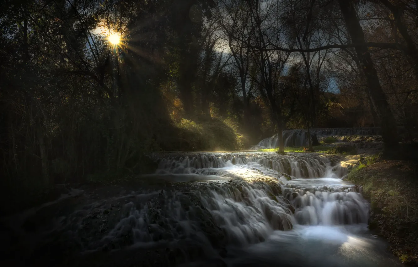 Фото обои лес, солнце, река, поток