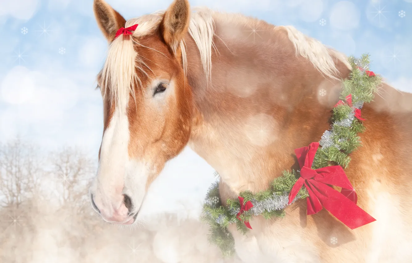 Фото обои конь, лошадь, новый год, бант