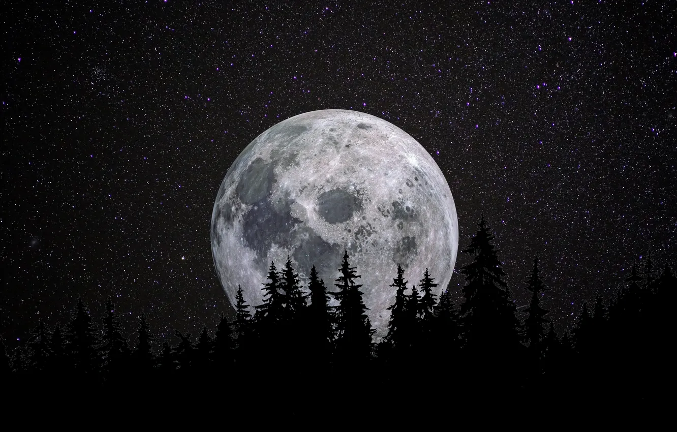 Фото обои moon, photography, night, stars