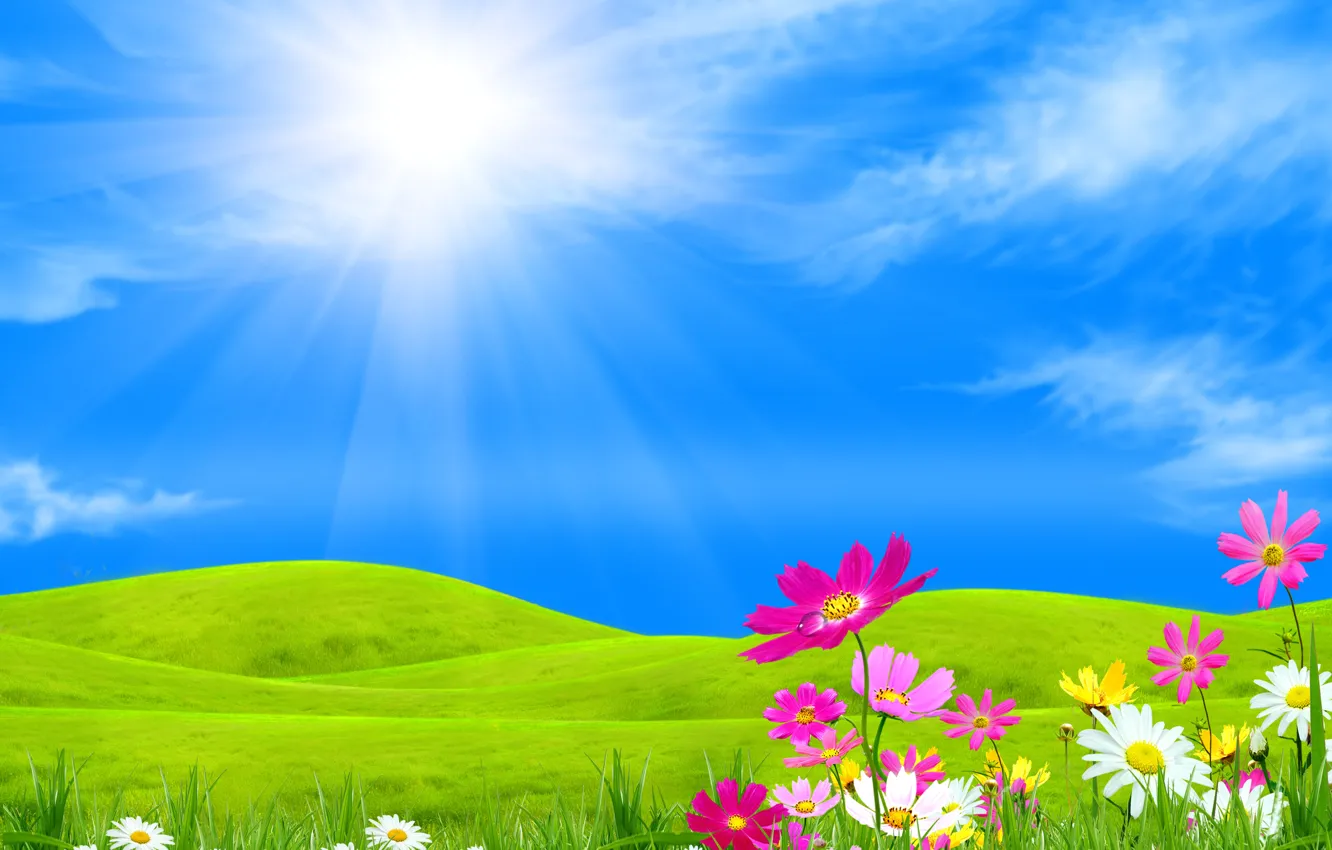 Фото обои небо, трава, солнце, облака, лучи, цветы, холмы, коллаж