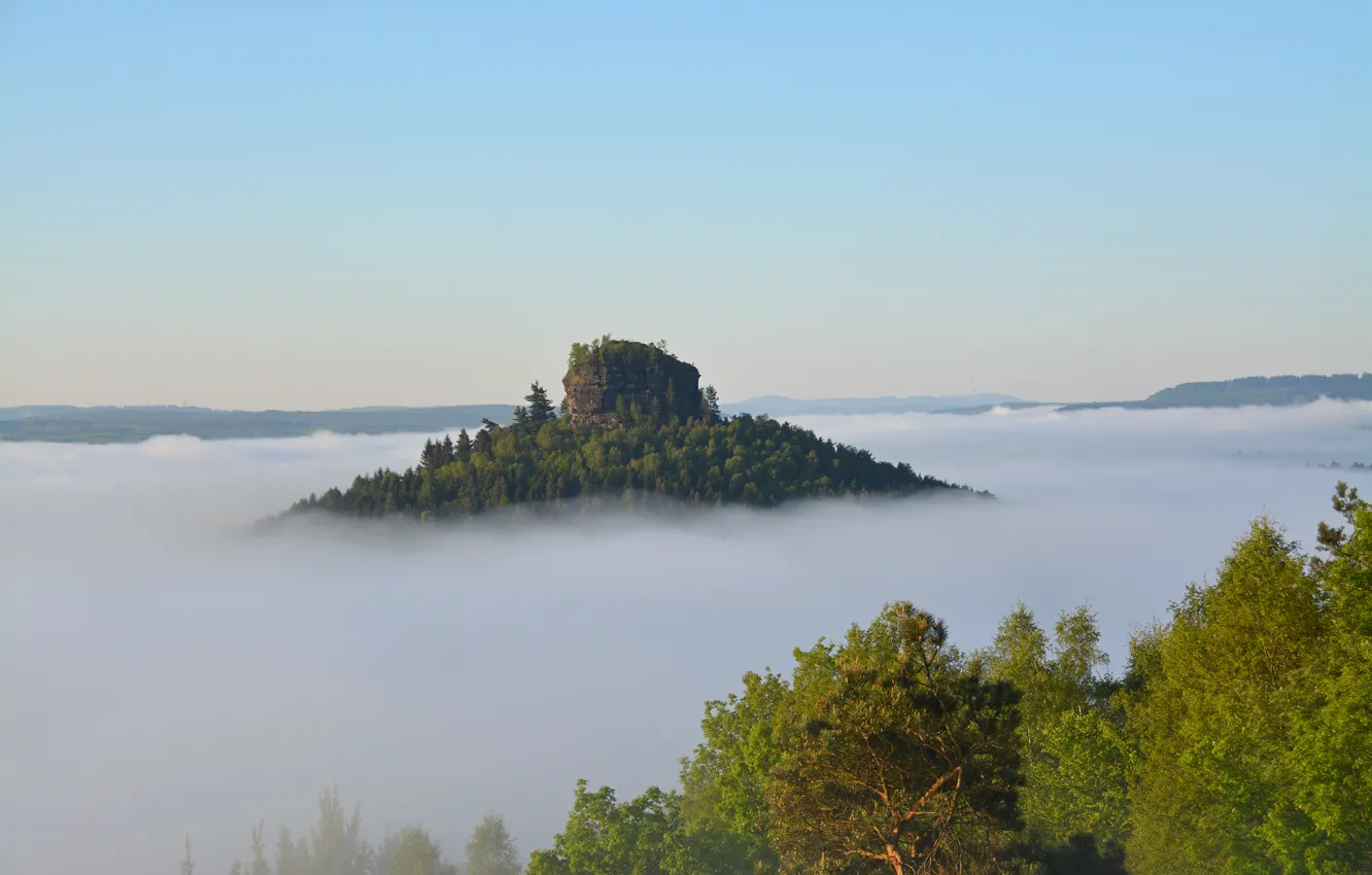 Фото обои небо, деревья, туман, скала, гора, утро