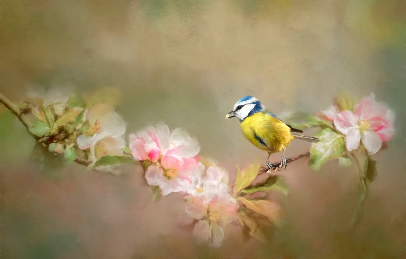Фото обои цветы, птица, ветка, живопись, синица
