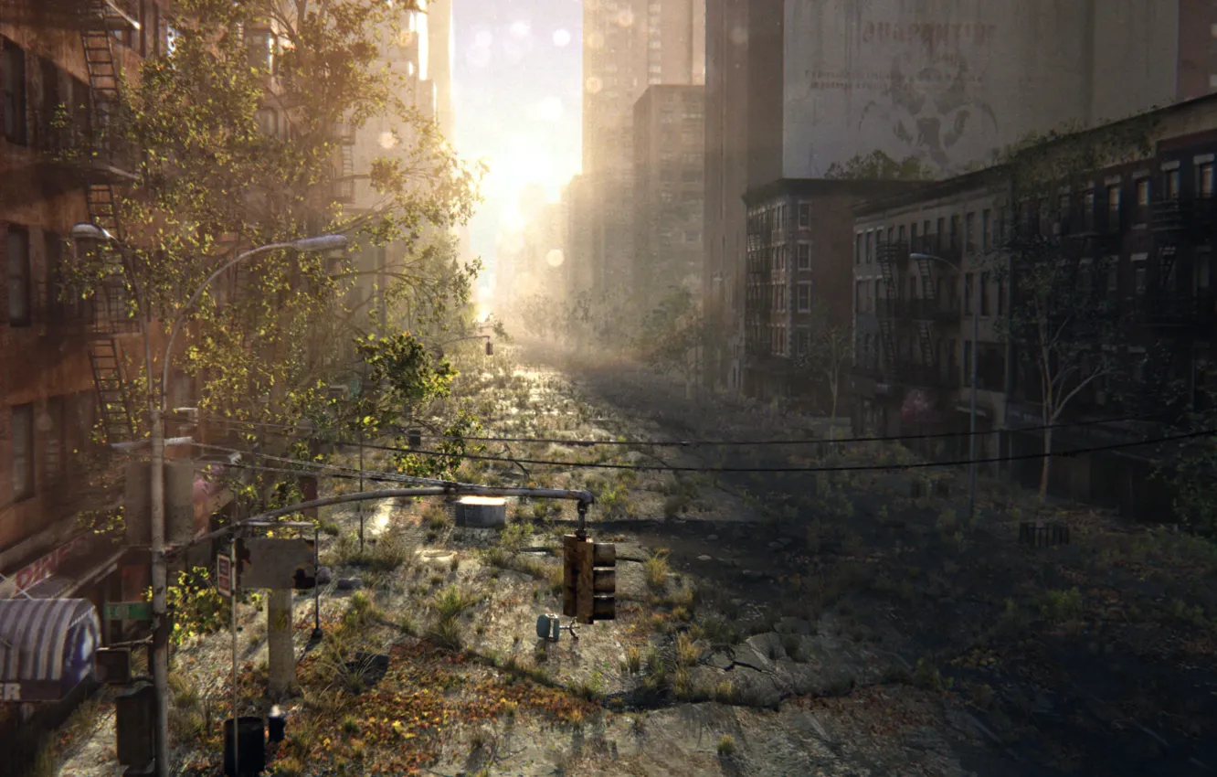 Фото обои город, трещины, восход, заросли, улица, арт, руины, постапокалипсис