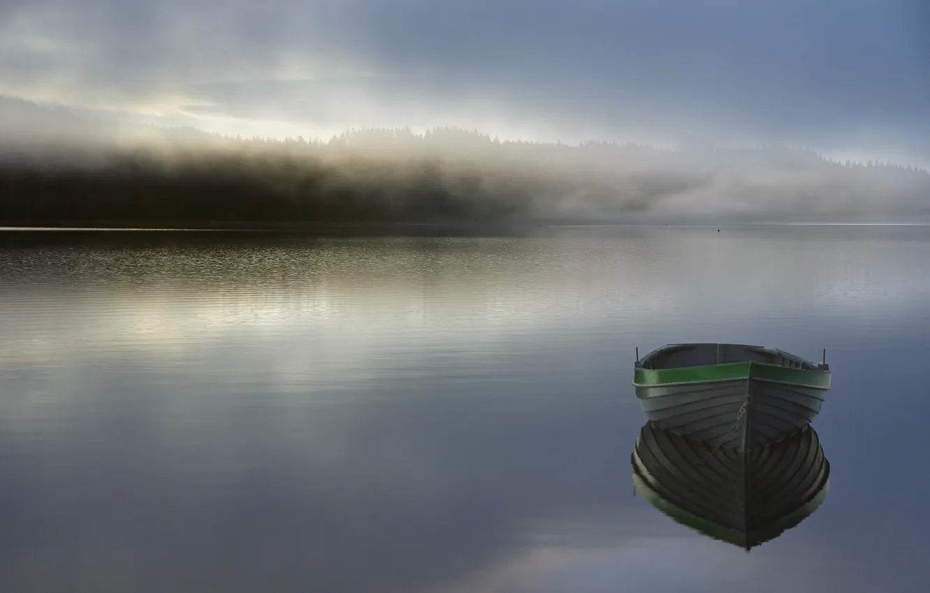Фото обои лес, туман, озеро, лодка