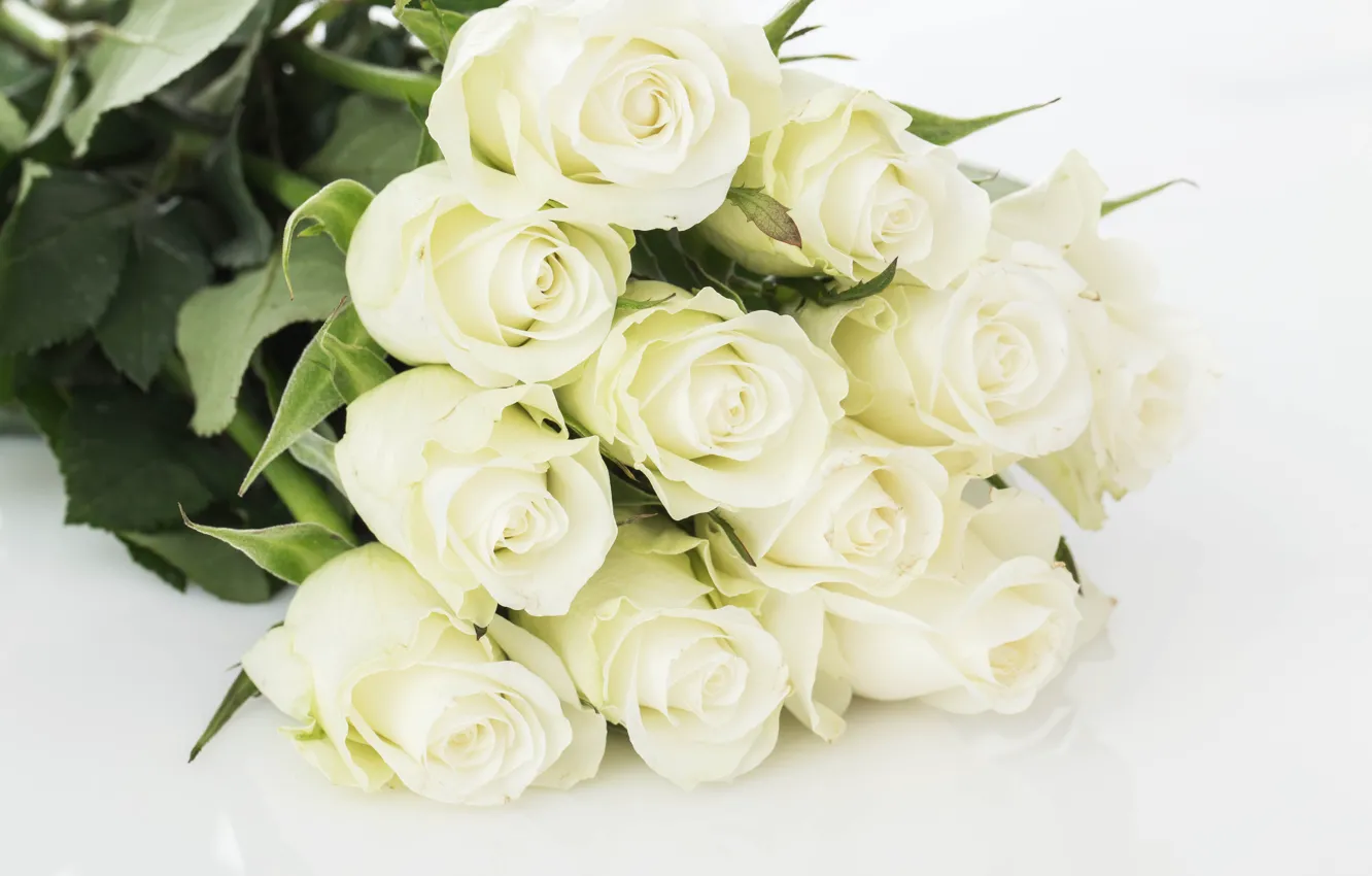 Фото обои розы, букет, нежные, белые