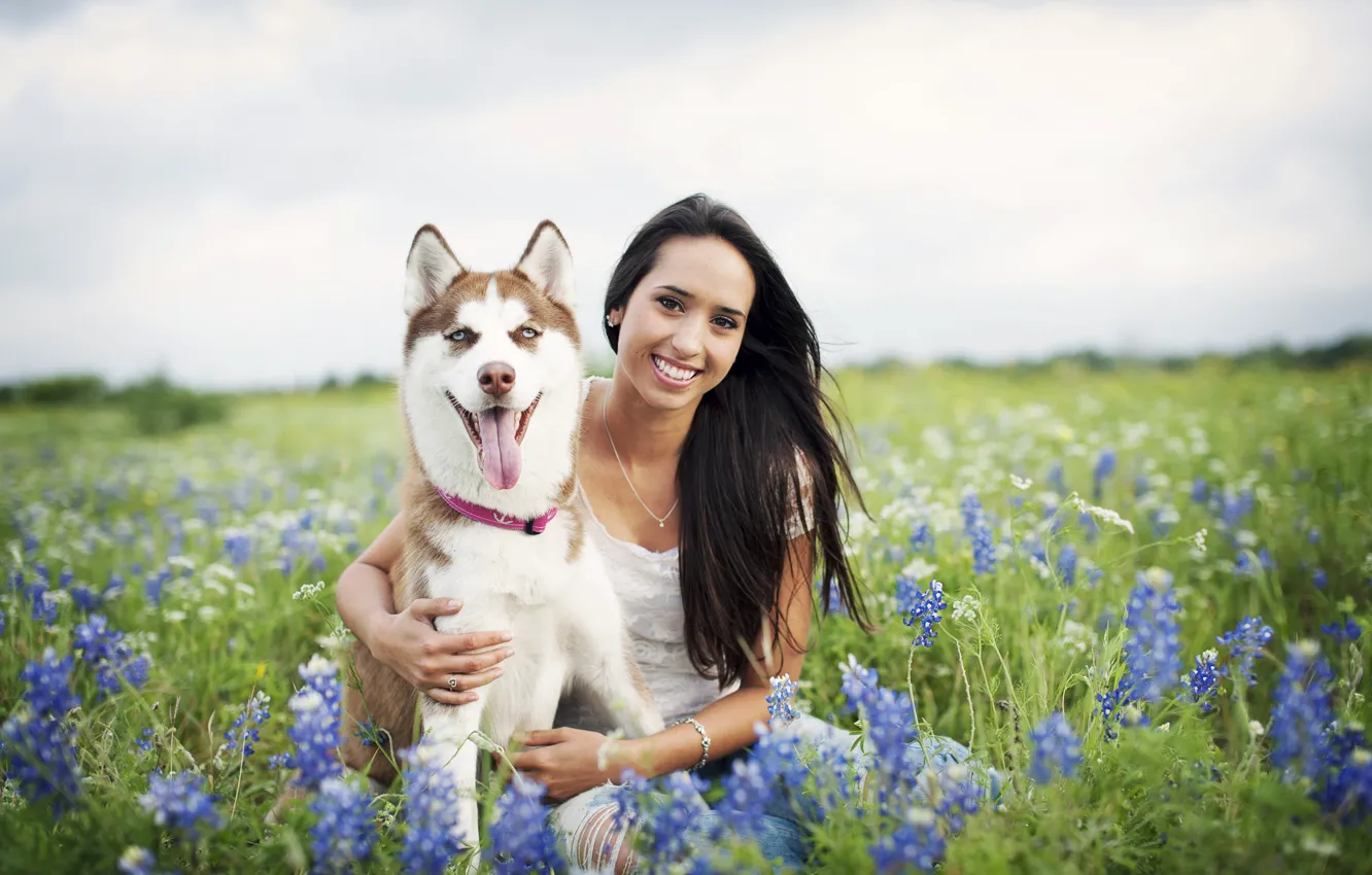 Фото обои девушка, цветы, улыбка, волосы, собака, girl, поле цветов, dog
