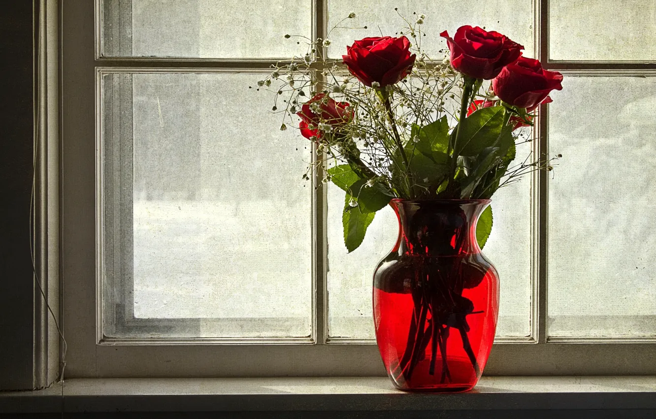 Фото обои зима, цветы, розы, окно, ваза