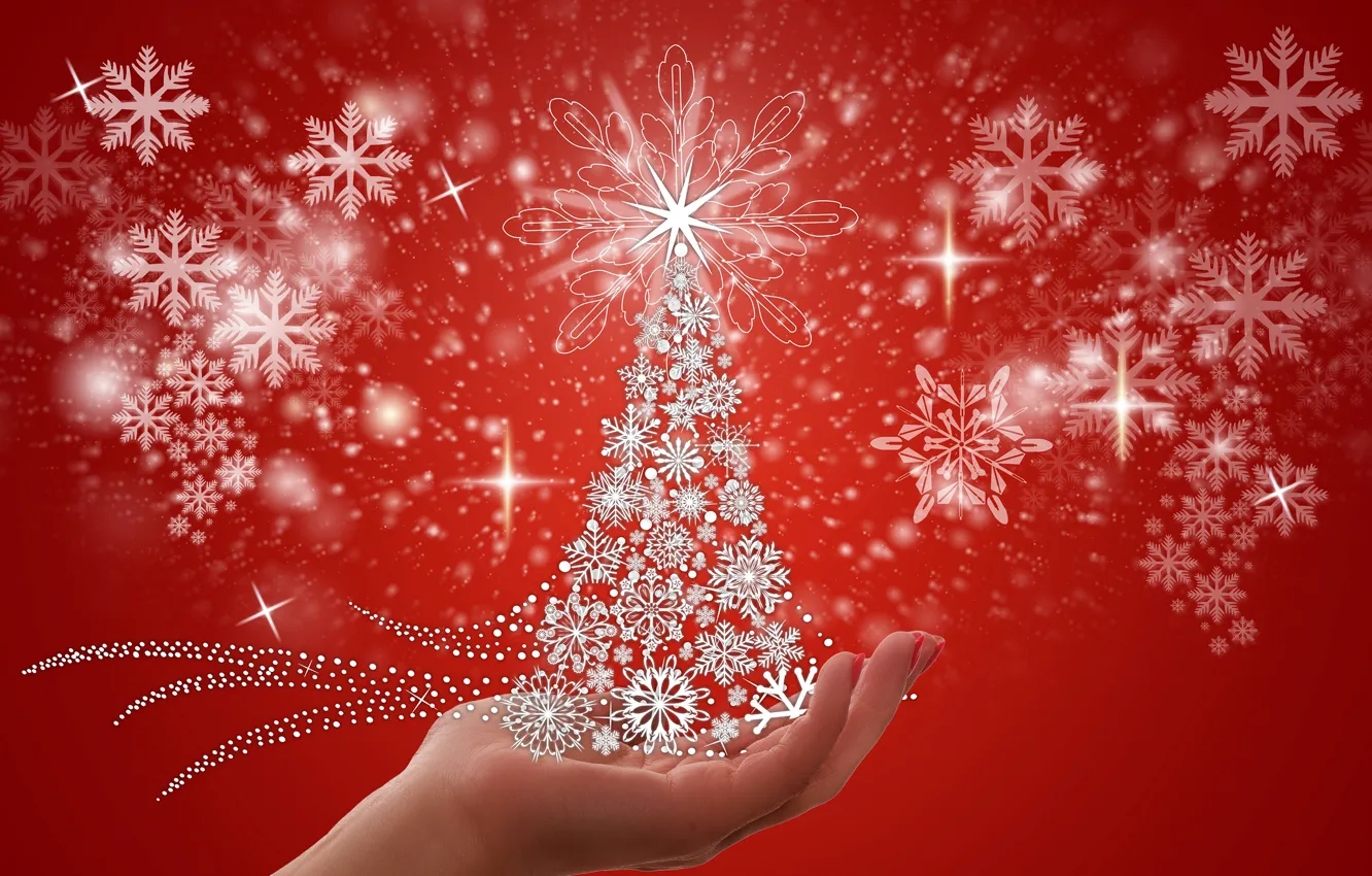Фото обои снежинки, елка, новый год, Christmas