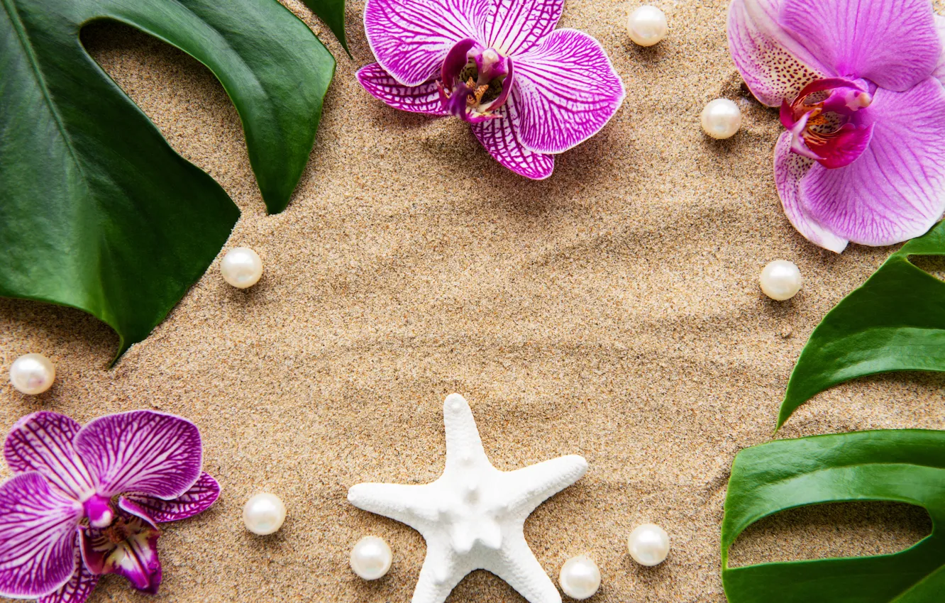 Фото обои песок, листья, цветы, white, орхидея, pink, flowers, sand
