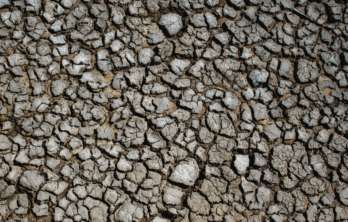 Фото обои поверхность, трещины, земля, засуха, land, drought, surface, cracks