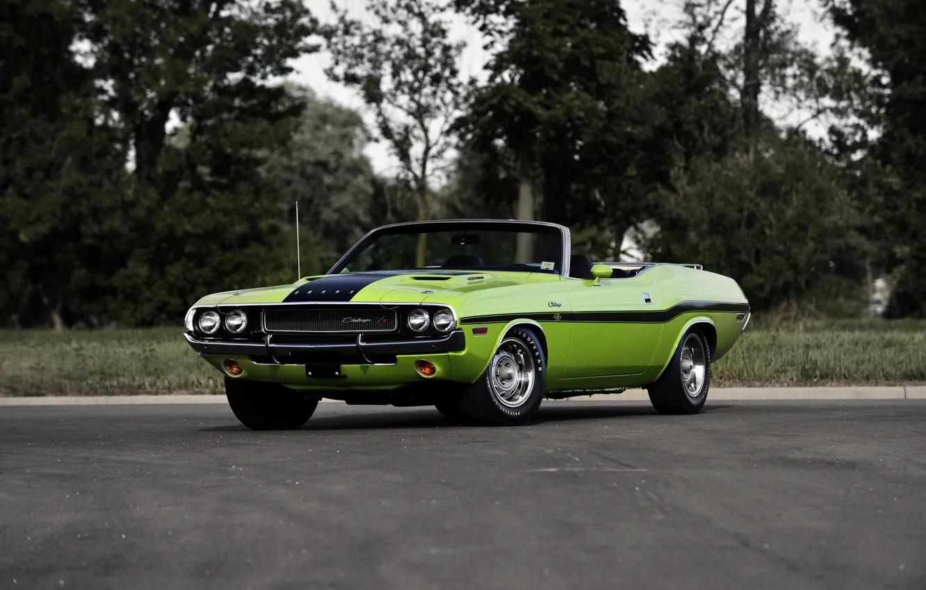 Фото обои Dodge, Challenger, кабриолет, додж, 1970, Convertible, челленджер, 426