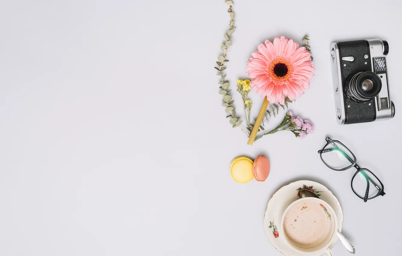 Фото обои цветы, кофе, печенье, очки, фотоаппарат, cup, Coffee