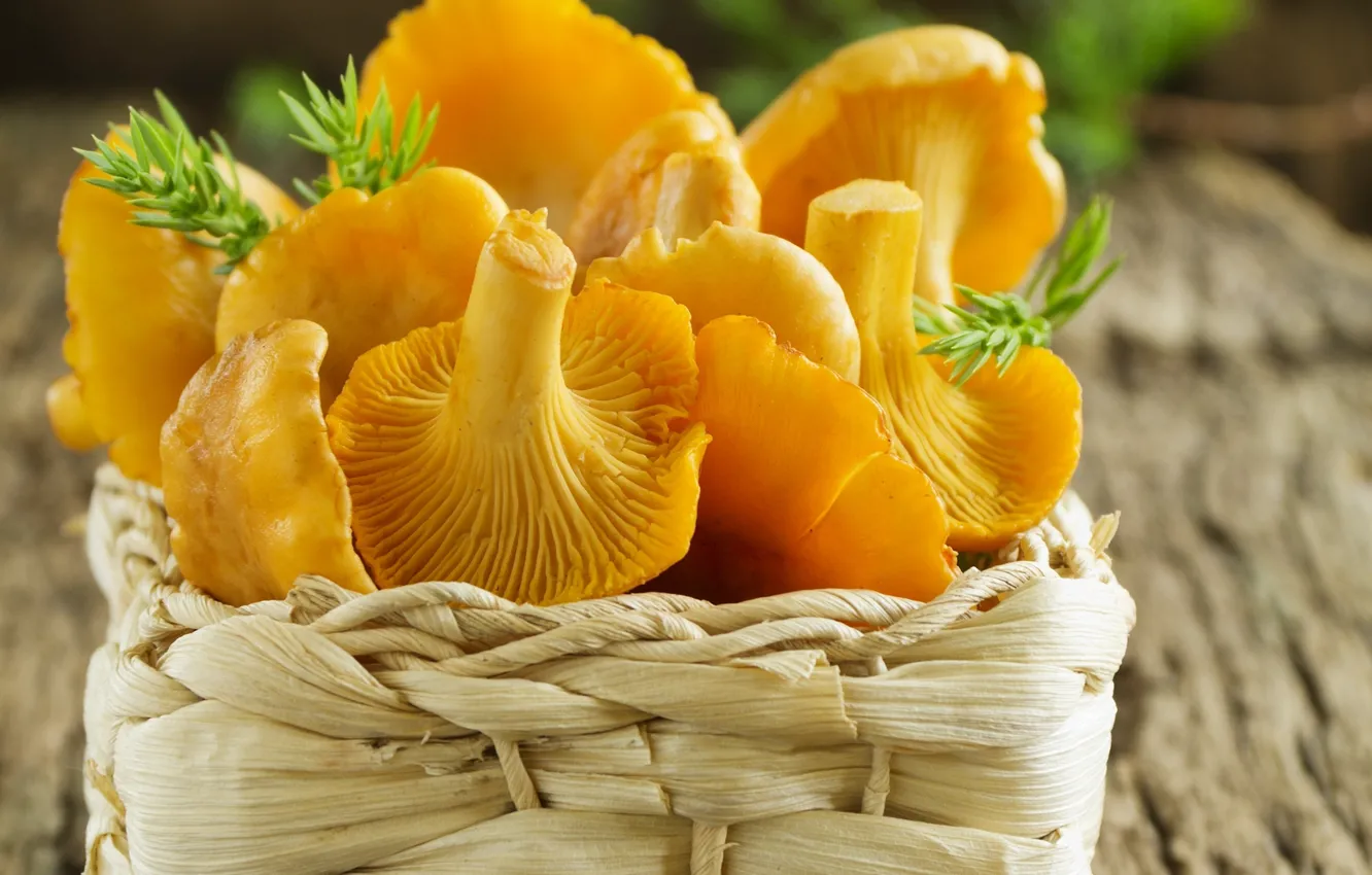 Фото обои корзинка, лисички, basket, fresh mushrooms, свежие грибочки