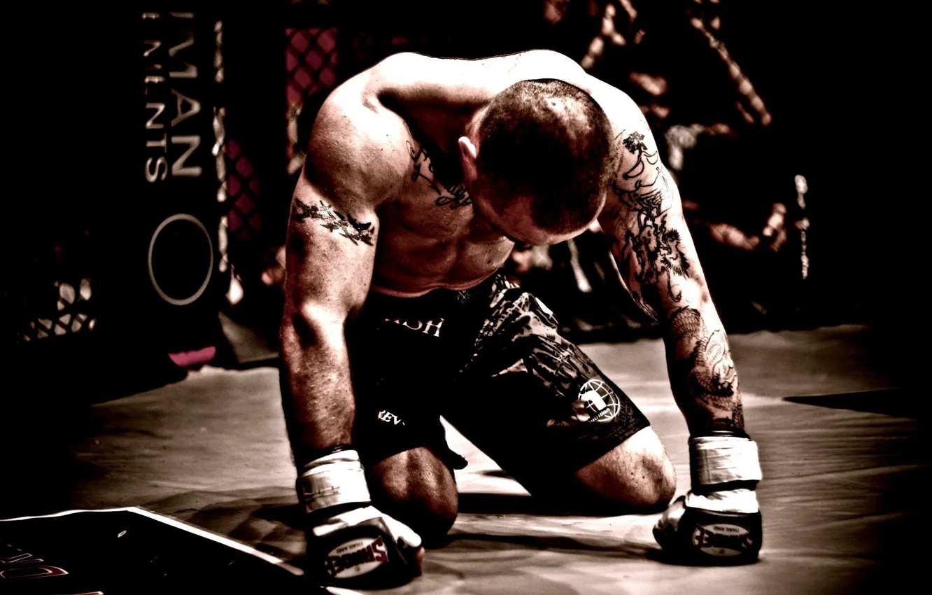 Фото обои тату, боец, fighter, татуировки, mma, mixed martial arts, смешанные боевые искусства