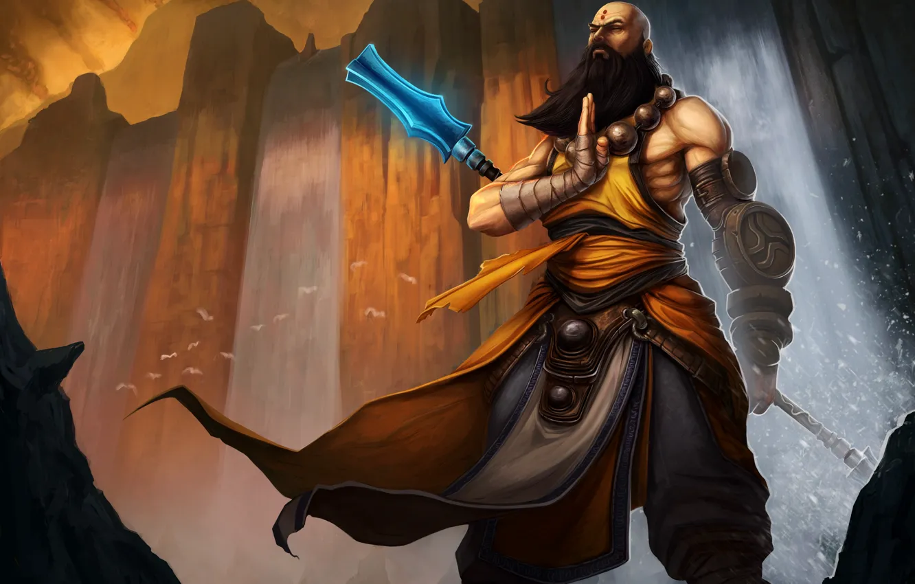 Фото обои борода, blizzard, diablo 3, monk