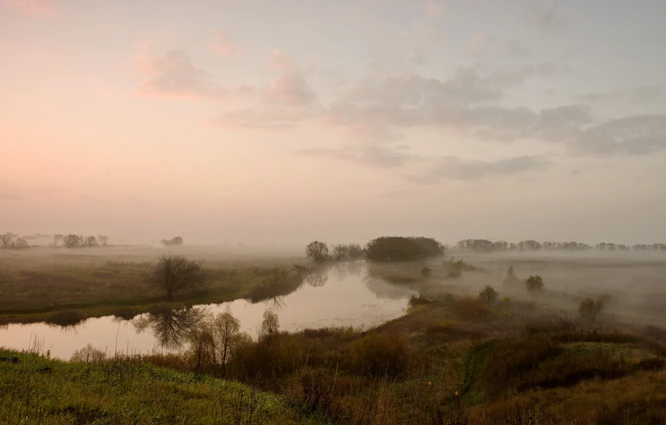 Фото обои поле, пейзаж, туман, река
