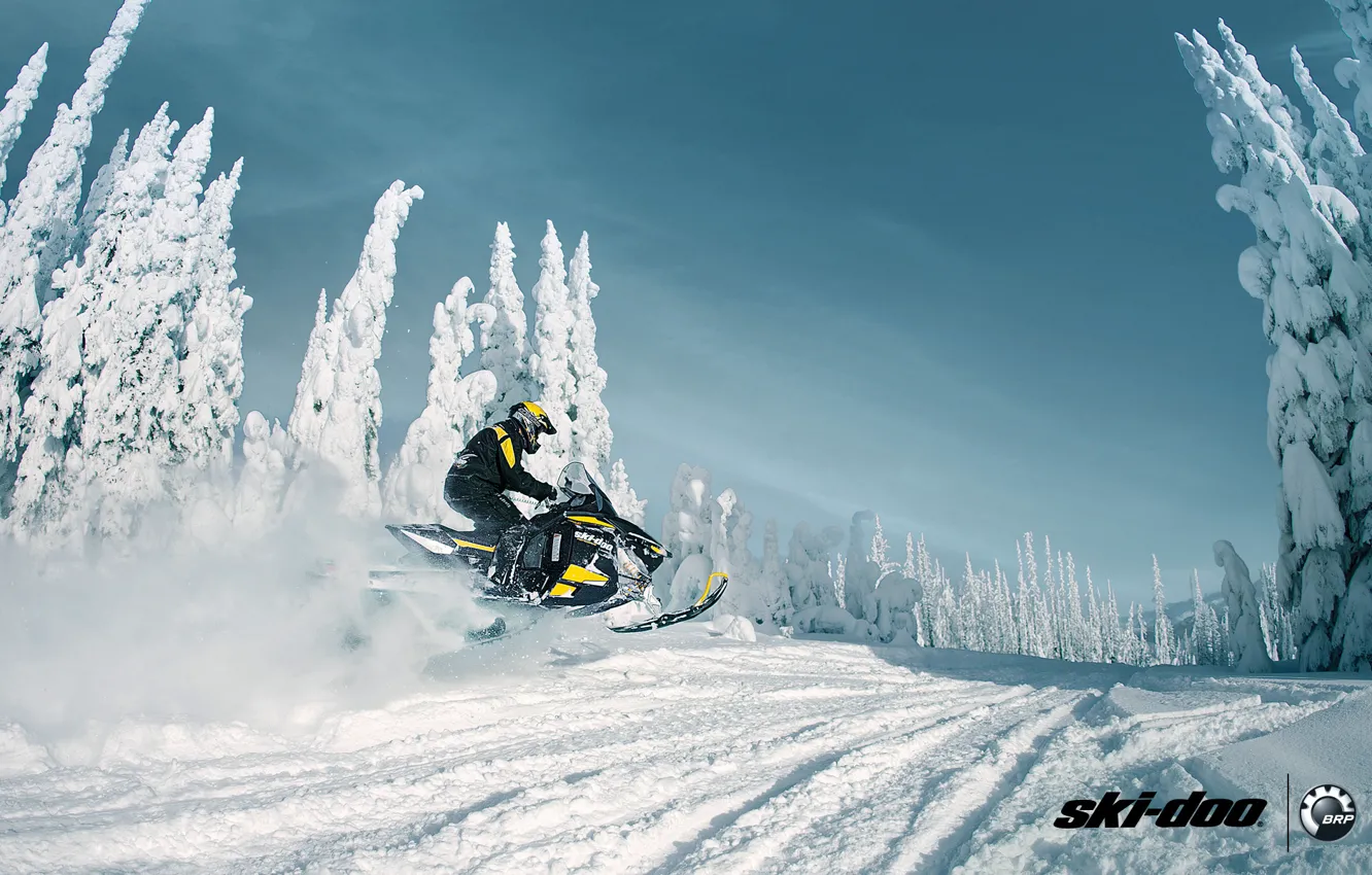 Фото обои лес, снег, спорт, sport, snow, снегоход, snowmobile, ski-doo