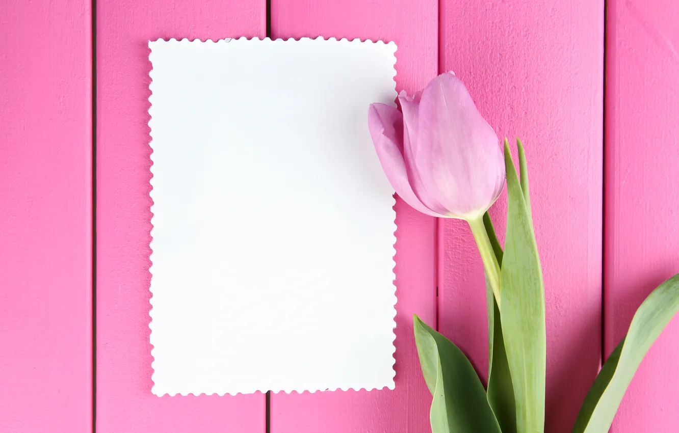 Фото обои цветы, букет, тюльпаны, wood, pink, flowers, tulips, открытка