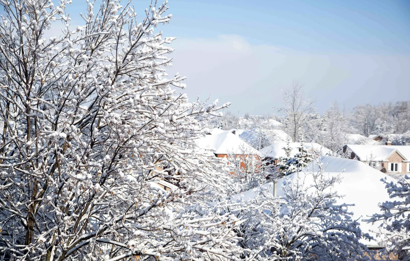 Фото обои зима, небо, снег, деревья, ветки, природа, здания, дома