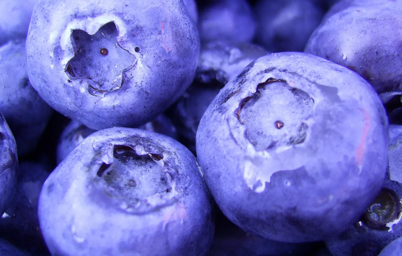 Фото обои макро, ягоды, еда, черника, food, macro, 1920x1080, blueberry