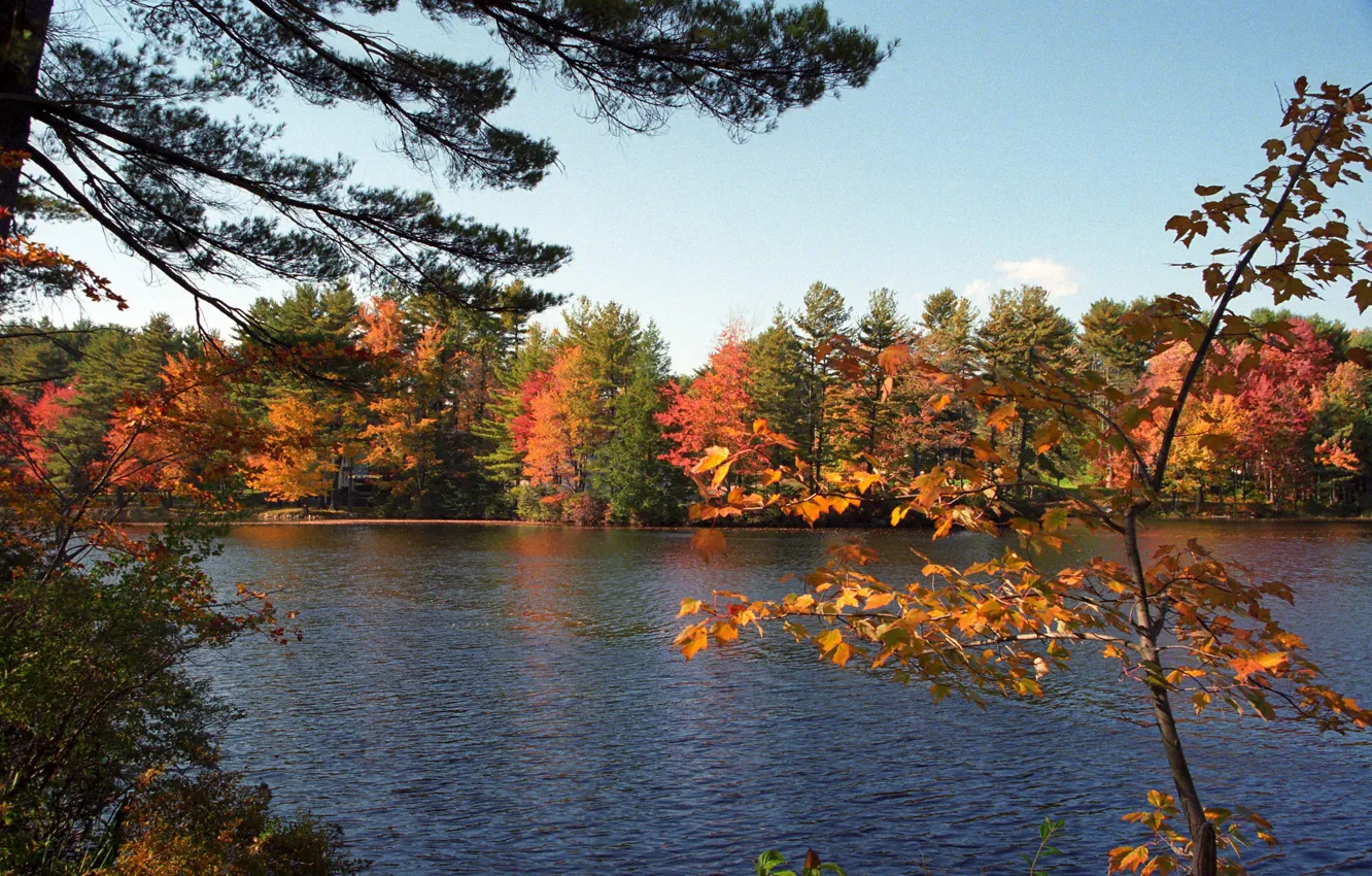 Фото обои осень, США, Массачусетс