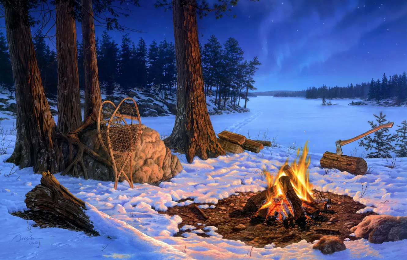 Фото обои зима, лес, снег, деревья, пейзаж, ночь, следы, природа