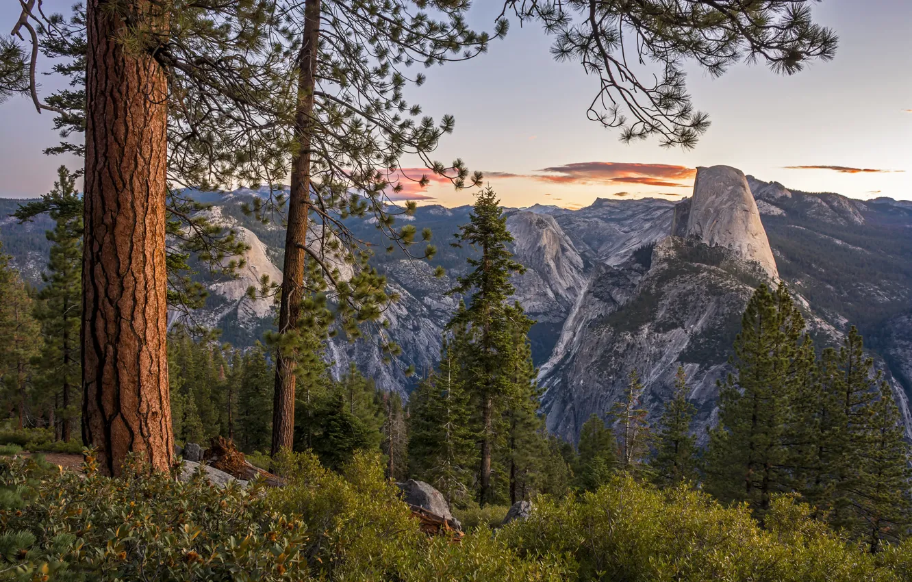 Фото обои деревья, горы, Калифорния, панорама, Йосемити, California, Национальный парк Йосемити, Yosemite National Park