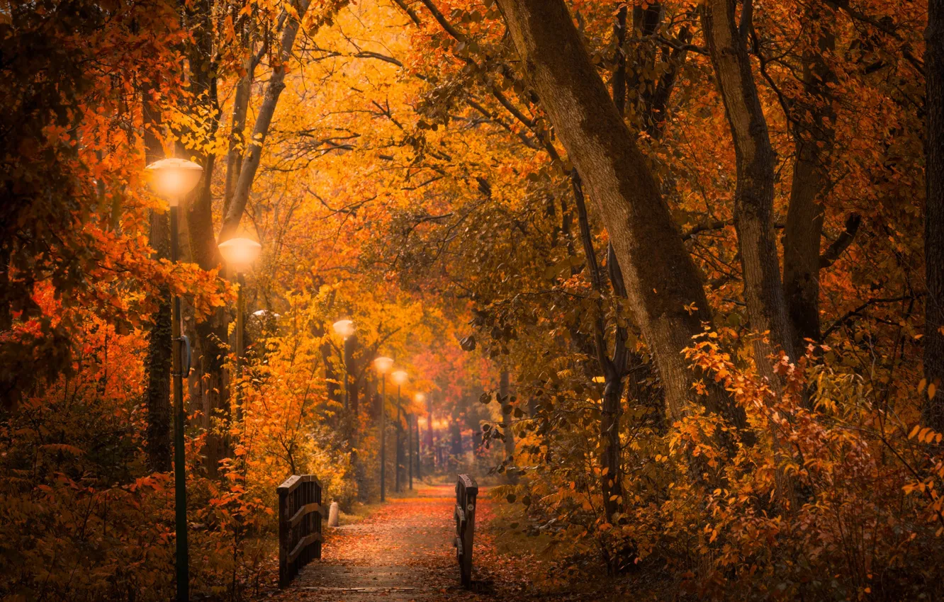 Фото обои парк, фонари, дорожка, мостик, Golden Autumn