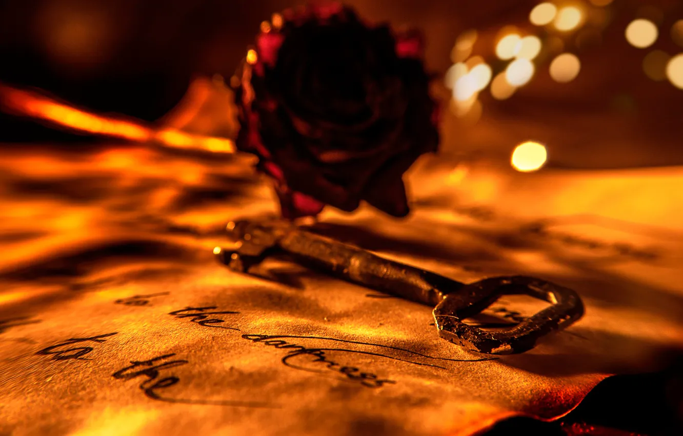 Фото обои письмо, роза, ключ, Love letter