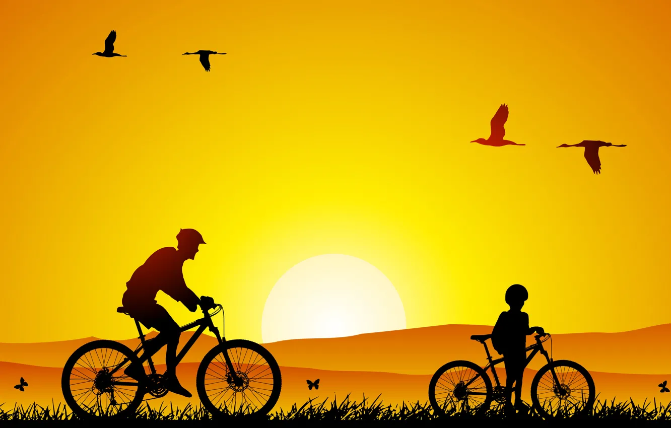 Фото обои природа, настроение, настроения, минимализм, прогулка, птины, сын, велосипеды