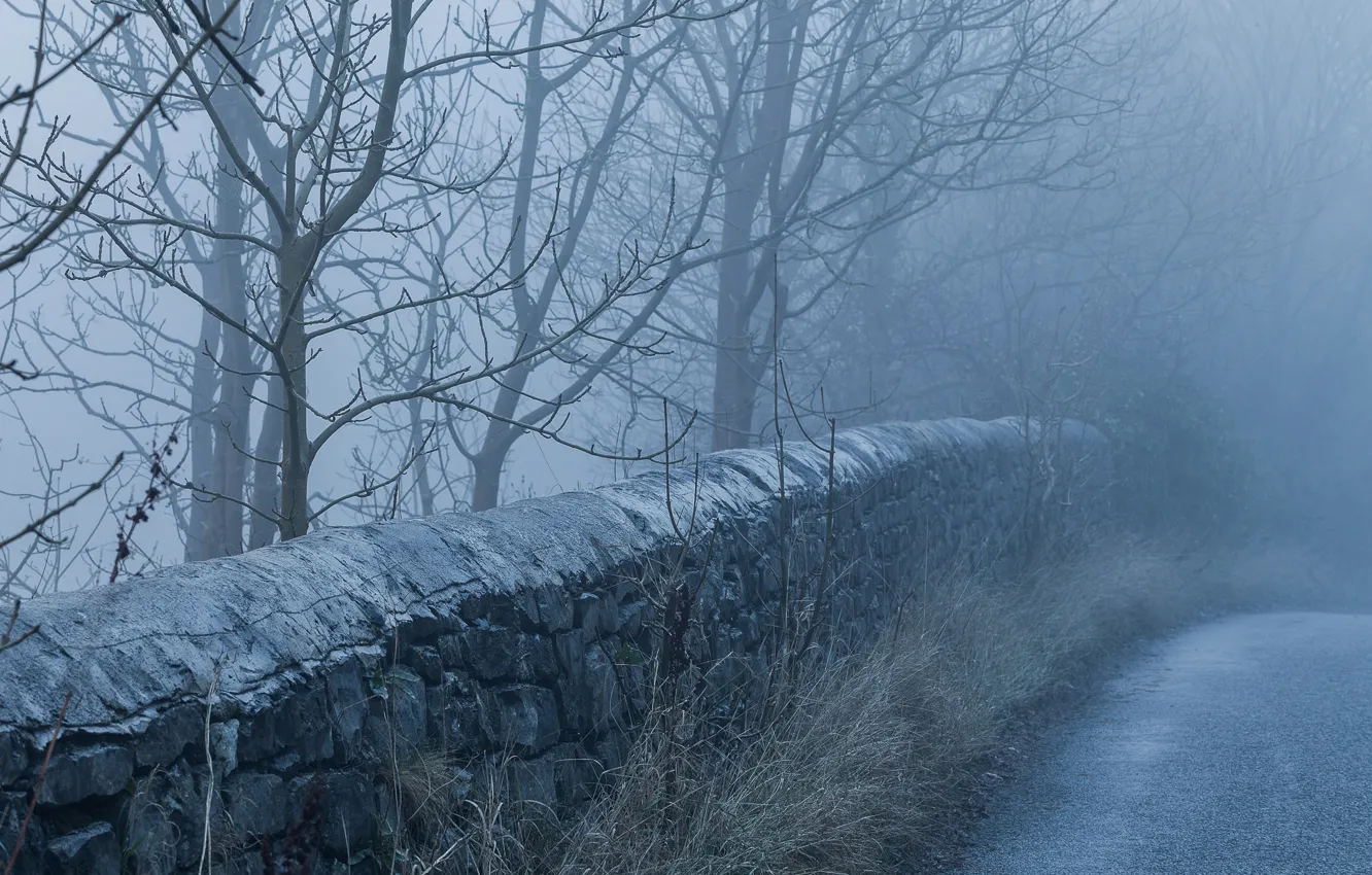Фото обои дорога, туман, утро, каменная ограда