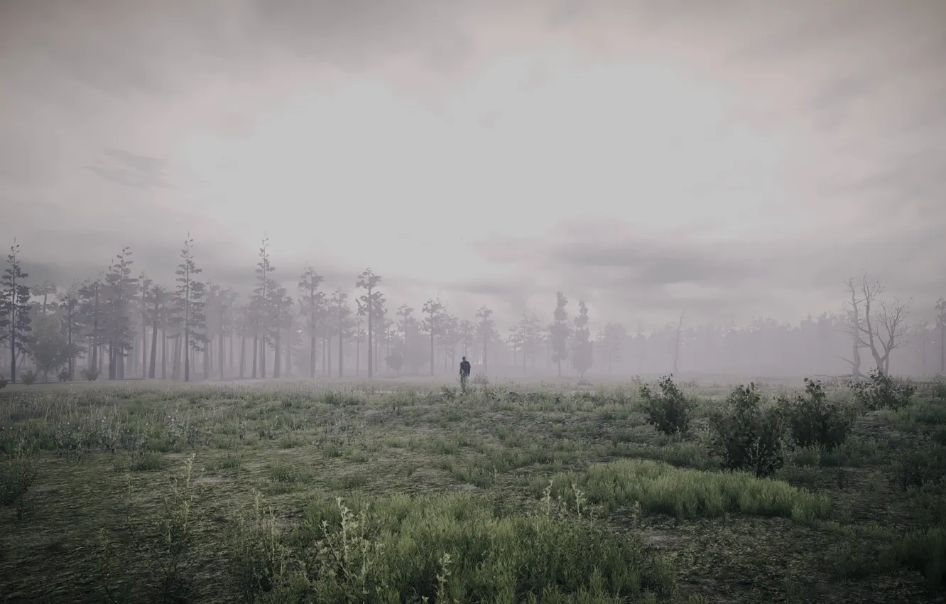 Фото обои лес, пейзаж, игра, человек, трактор, 35MM