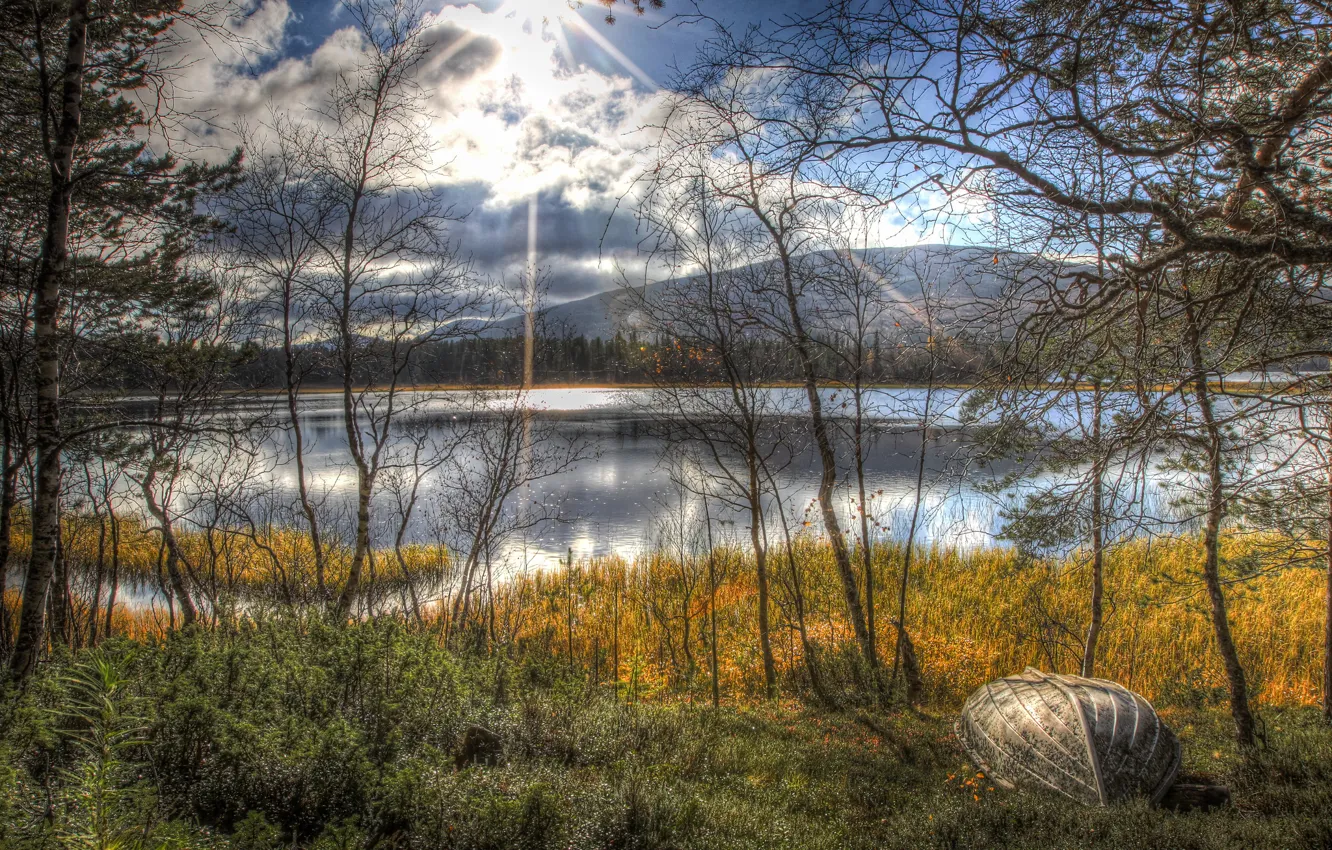 Фото обои осень, солнце, деревья, пейзаж, озеро, лодка