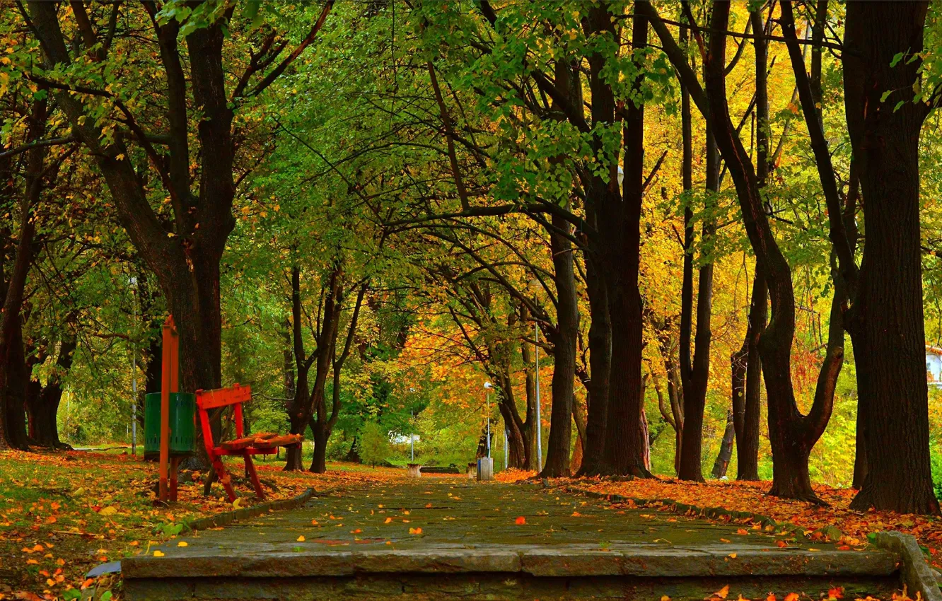 Фото обои Осень, Деревья, Скамейка, Парк, Fall, Park, Autumn, Листопад