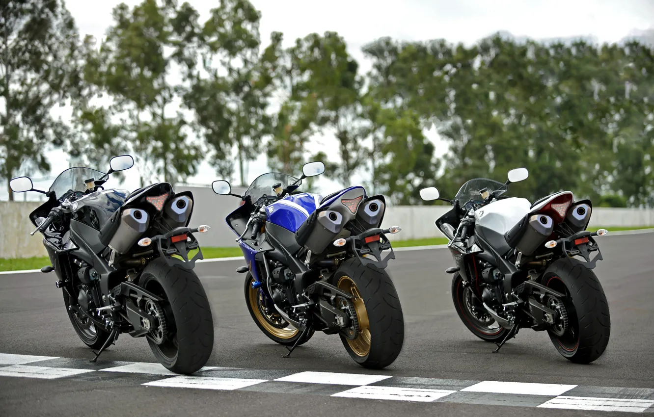 Фото обои sportbike, YZF, Yamaha R1