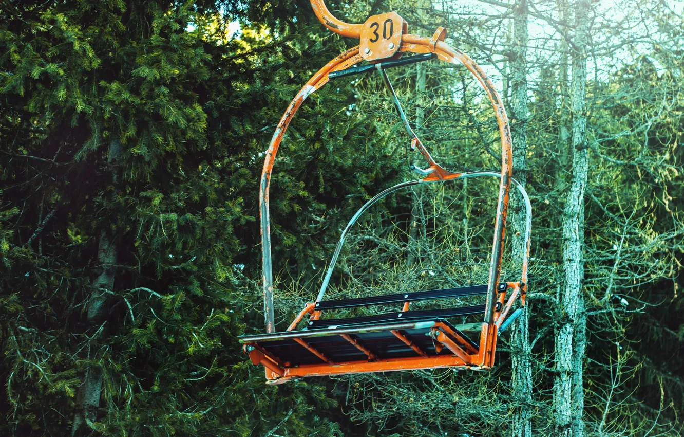 Фото обои зима, лес, ель, ели, кыргызстан, Каракол, бугель