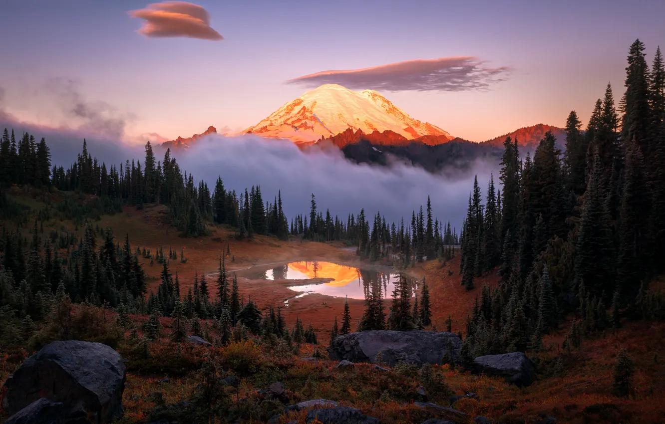 Фото обои лес, небо, свет, туман, озеро, отражение, гора, утро
