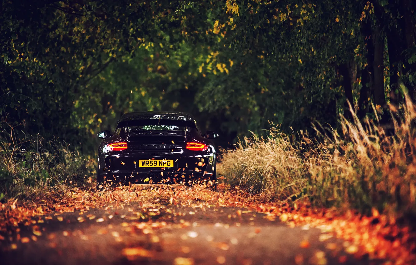 Фото обои дорога, листва, Porsche, чёрная, GT3