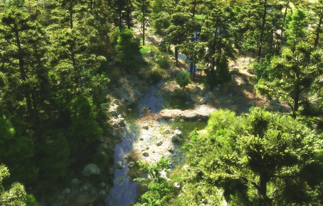 Фото обои лес, деревья, река, ручей, камни, арт, вид сверху