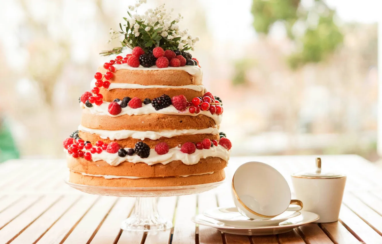 Фото обои еда, черника, торт, пирожное, фрукты, cake, крем, десерт